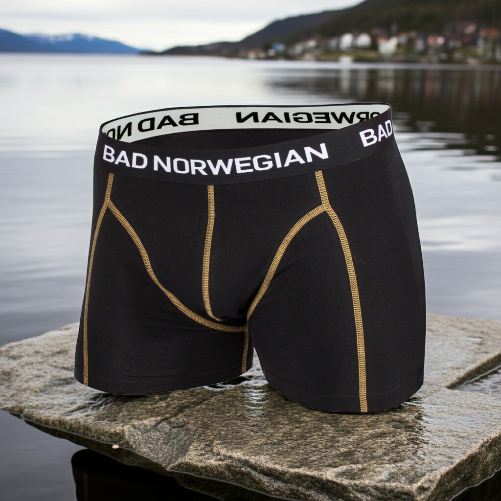 Black boxer briefs with 'Bad Norwegian' branding on a rock by a lake.